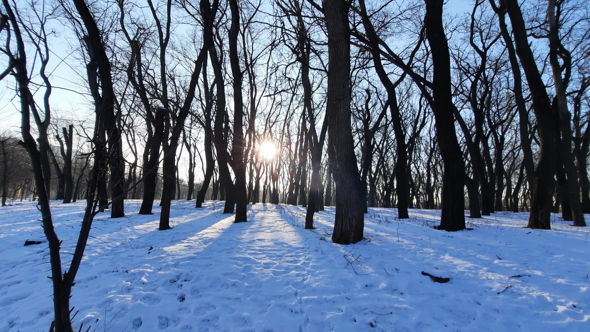 Скамейка в зоне отдыха, Дюківський сад (Дюковський парк), Одеса